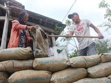 Trước nguy hiểm bão số 9: Người miền Trung đào cả hầm để trú ẩn - ảnh 1