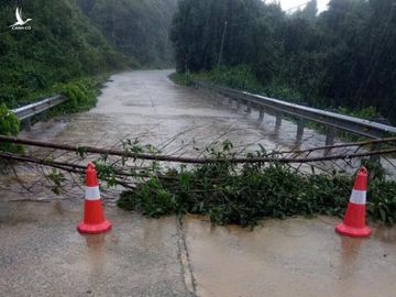 Hà Tĩnh đề nghị rà soát khẩn nơi đóng quân của lực lượng vũ trang, sơ tán dân vùng nguy hiểm - Ảnh 18.