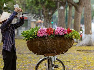 nhung khoanh khac dep mua thu ha noi anh 12