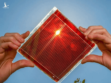 Pin mặt trời perovskite có nhiều ưu điểm so với pin silic truyền thống. Ảnh: Solar Energy.