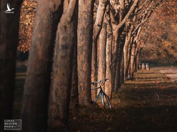 Bạn đã bao giờ nghe tới “Tour du lịch 1 giờ đồng hồ” tại Paris? - ảnh 10