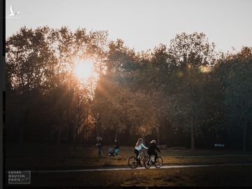 Bạn đã bao giờ nghe tới “Tour du lịch 1 giờ đồng hồ” tại Paris? - ảnh 11