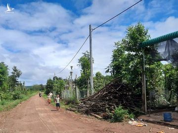 Dân chết thèm vì dây điện chạy trên đầu nhưng… không có điện! - Ảnh 1.