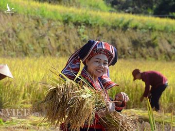 Đánh thức tiềm năng du lịch nông nghiệp, nông thôn: - Ảnh 3.