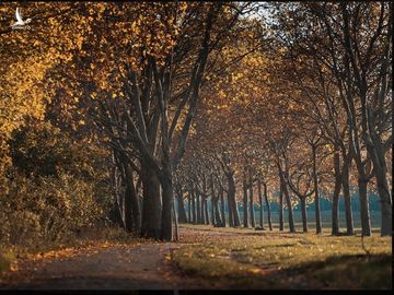 Bạn đã bao giờ nghe tới “Tour du lịch 1 giờ đồng hồ” tại Paris? - ảnh 14