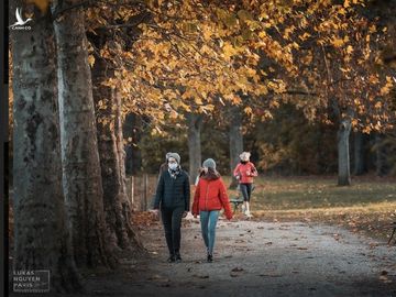 Bạn đã bao giờ nghe tới “Tour du lịch 1 giờ đồng hồ” tại Paris? - ảnh 1