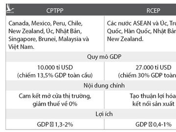 Bộ trưởng bộ Công thương nói gì về siêu hiệp định RCEP? - Ảnh 3.