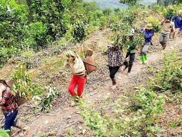 Người trẻ, tình nguyện viên và bà con đi trồng cây ở Khu bảo tồn thiên nhiên Xuân Liên, Thanh Hóa nhân ngày thế giới trồng cây 21.3 /// Ảnh Thanh Huyền