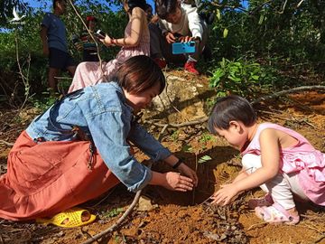 Chàng trai bỏ đại học, mua đất trồng rừng, ‘gọi’ chim về ở