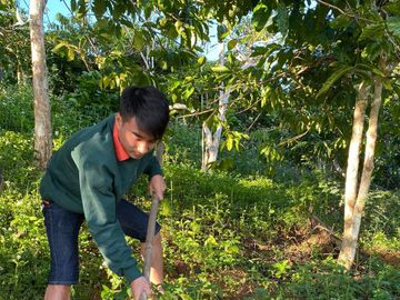 Chàng trai bỏ đại học, mua đất trồng rừng, ‘gọi’ chim về ở