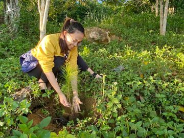 Chàng trai bỏ đại học, mua đất trồng rừng, ‘gọi’ chim về ở