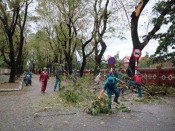 Bão số 13 gây thiệt hại tại Thừa Thiên - Huế - ảnh 3