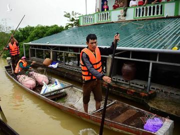 Quốc hội, rừng, thủy điện nhỏ và lũ lụt