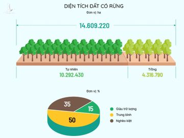 Click để xem hiện trạng rừng Việt Nam. Đồ họa: Việt Chung