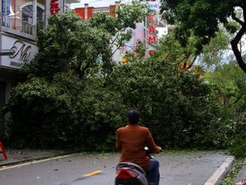 Tàu chìm, nhà sập, trường học tốc mái, cây xanh ngã đổ trong bão số 13 - 16