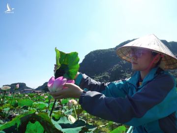 Không ít bạn trẻ ngỡ ngàng khi dù đã vào giữa tháng 10 nhưng đầm sen Hang Múa, đầm sen lạ nhất Việt Nam vẫn rất nhiều hoa.