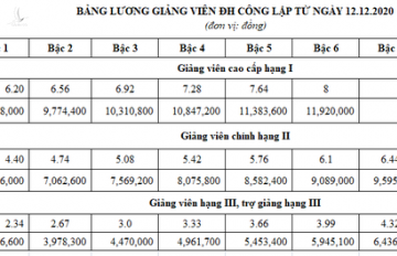 Lương giảng viên ĐH công lập cao nhất gần 12 triệu đồng/tháng - ảnh 1