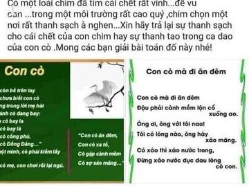 nu sinh An Giang tu tu anh 1