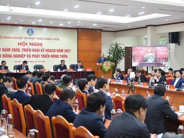 Thủ tướng: Xử lý nghiêm việc chặt đào rừng về chơi Tết - 1 Thủ tướng: Xử lý nghiêm việc chặt đào rừng về chơi Tết - 1