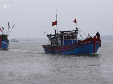 Dai su quan Viet Nam bao ho ngu dan dang bi tam giu o Indonesia hinh anh 1