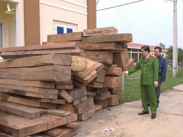 Dùng xe chở cát sạn làm vỏ bọc, đường dây phá rừng quy mô lớn vẫn bị chặn đứng - Ảnh 1.