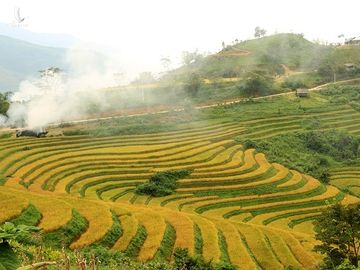 'Thiên đường săn mây' ở Sìn Hồ