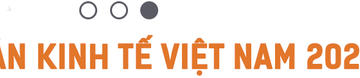 Chuyên gia kinh tế cao cấp Ngân hàng Thế giới chỉ ra nhân tố phi y tế giúp Việt Nam vượt qua khủng hoảng! - Ảnh 5.