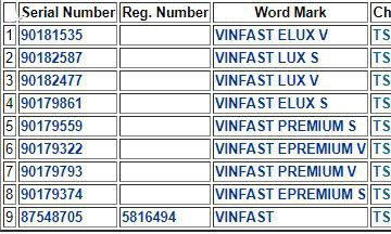 “Con cưng” VinFast của tỷ phú Phạm Nhật Vượng sắp tới thị trường Mỹ? - Ảnh 3.