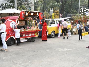 Đường mai chào xuân Tân Sửu đẹp hút hồn giới trẻ - ảnh 21