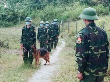 Bộ đội biên phòng Hà Tĩnh tổ chức tuần tra kiểm soát ngăn chặn người trốn cách ly. Ảnh: Đức Hùng