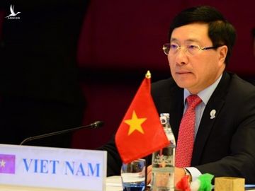 Doi ngoai Viet Nam trong nam 2020: Ban linh va tam the moi hinh anh 1