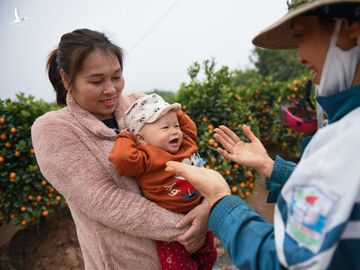 Tet Tan Suu, buon ban cay canh, Tet nguyen dan anh 25