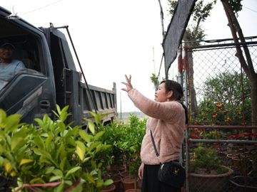 Tet Tan Suu, buon ban cay canh, Tet nguyen dan anh 7