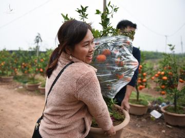 Tet Tan Suu, buon ban cay canh, Tet nguyen dan anh 9