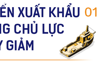 Đại sứ EU: EVFTA là yếu tố giúp Việt Nam như ‘Hổ mọc thêm cánh’ - Ảnh 1.