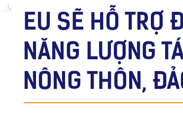 Đại sứ EU: EVFTA là yếu tố giúp Việt Nam như ‘Hổ mọc thêm cánh’ - Ảnh 7.