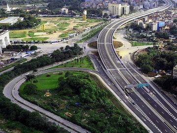 Làm tổ cho đại bàng nội