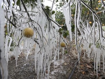 Hình ảnh cuộc sống 'đóng băng' của người Mỹ trong thảm họa bão tuyết