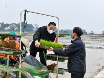 Bí thư Vương Đình Huệ xuống đồng cấy lúa cùng nông dân - ảnh 3