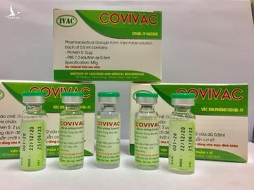 Vắc-xin Covid-19 do Việt Nam sản xuất có tác dụng với biến thể mới SARS-CoV-2 - Ảnh 3.