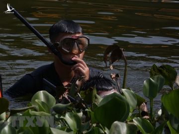 Tìm đâu ra lực lượng tấn công &quot;xuất quỷ nhập thần&quot; như Đặc công Hải quân Việt Nam? - Ảnh 7.