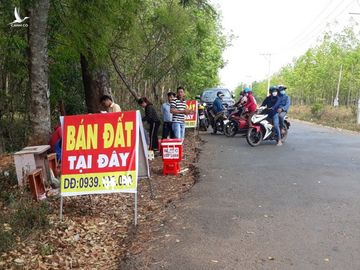 Đầu cơ đất sân bay: Vỡ mộng giàu nhanh, chục tỷ tan theo lời đồn