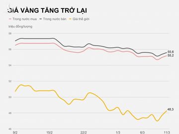 Gia vang trong nuoc hom nay anh 1