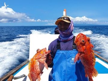 bao ton quan dao Galapagos anh 4