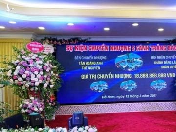 Cục Thuế Hà Nam: '99% vụ chuyển nhượng lan Bảo Duy gần 19 tỷ đồng là giả'