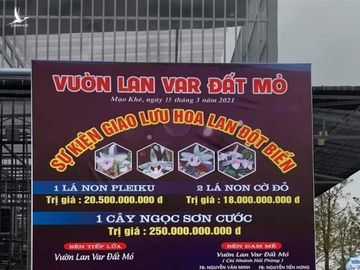 250 tỷ đồng một vụ giao dịch lan đột biến, chiêu trò thổi giá, khuấy động thị trường? - Ảnh 1.