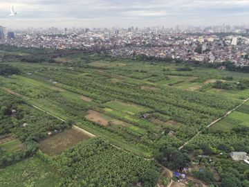 Một số bãi sông Hồng sẽ được xây dựng các khu đô thị mới hiện đại, đồng bộ và có khả năng chịu lũ. Ảnh: Ngọc Thành.