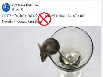 Luận điệu và hình ảnh phản cảm của các phần tử "Việt Nam Thời Báo".