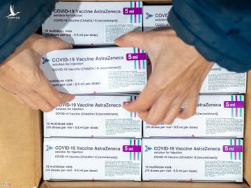 Gia mao cung ung vaccine Covid-19 anh 1