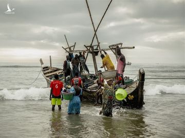 'Đại ngư thuyền' Trung Quốc đánh cá, tàn phá biển và bá quyền đại dương - 6